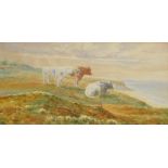 English School (early 20thC). Cattle on a cliff top, watercolour, signed indistinctly, 16cm x 31cm.