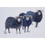 K. W. (20thC). Sheep, artist signed limited edition print, 1/10, 20cm x 29cm.