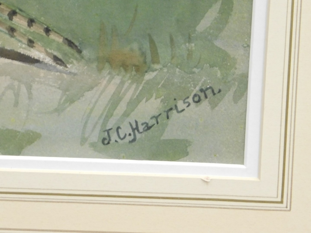 John Cyril Harrison (1898-1985). Milinistic and Decollatus, watercolour, signed, Christie's label 12 - Image 3 of 4