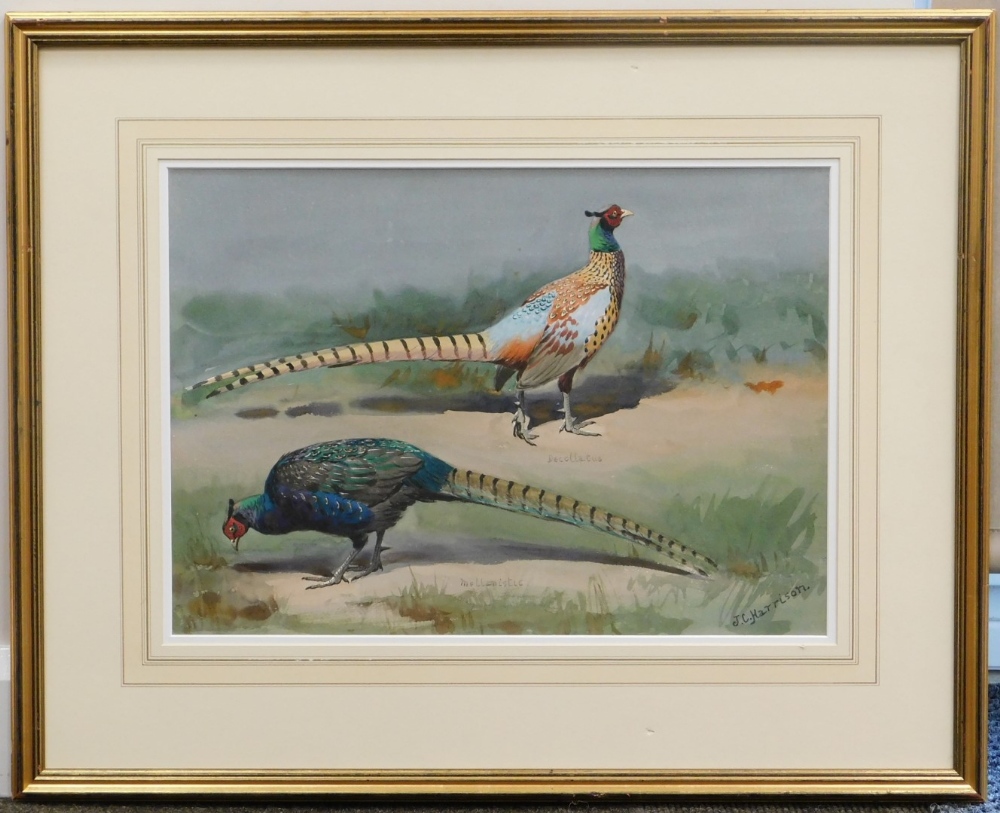 John Cyril Harrison (1898-1985). Milinistic and Decollatus, watercolour, signed, Christie's label 12 - Image 2 of 4