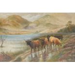 J. H. Lowe (20thC School). Study of bulls before river and mountains, oil on canvas, signed, 39cm x