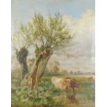 Baldock (19thC School). Cattle watering beside trees, oil on board, signed, inscribed verso 'Present