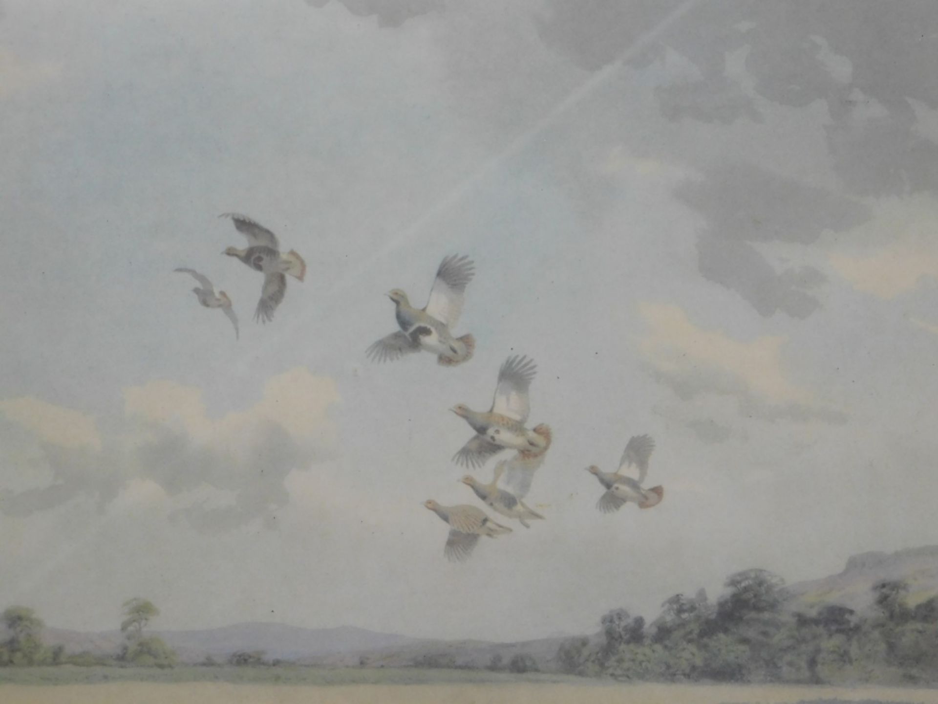 John Cyril Harrison (1898-1985). Partridge in a clearing, artist signed limited edition print number