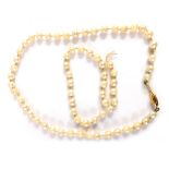 A cultured pearl single strand necklace, on a knotted string strand, with cream lustre pearls, and a