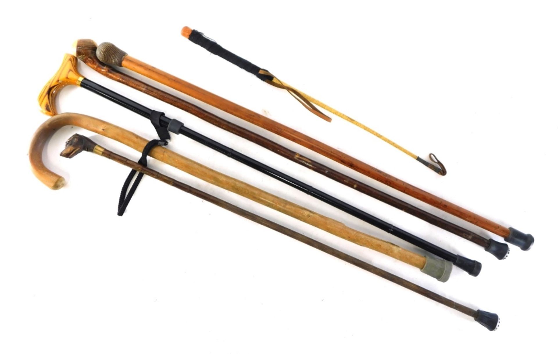 Various walking sticks, to include a dog head example, with turned bamboo style stem, 85cm high, hun