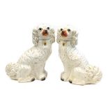 A pair of late 19thC Staffordshire spaniels, with gilt markings, 32cm high.