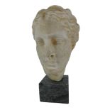 A Roman type head bust of a figure facing front, on grey marble type base, 38cm H.