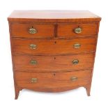 An early 19thC mahogany bow front chest of two short and three long graduated drawers, with oval bra