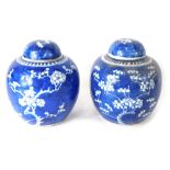 A pair of Chinese porcelain blue and white ginger jars, with domed lids and globular bodies, double