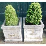 A pair of square reconstituted stone garden planters, each with urn and swag design, with boxed bay