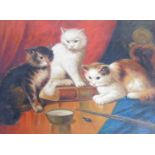 20thC School. Kittens on a table with book inspecting an insect, oil on canvas, unsigned, 48cm x 74c