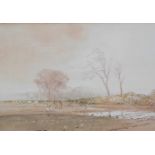 Samuel Lucas (20thC). Sheep in a barren landscape, watercolour, unsigned, attributed verso, 23cm x 3