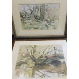 •Cherry Jane McWeeny (b.1952). Tree before stream and bridge, watercolour, 26cm x 34cm, attributed v