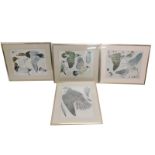20thC School. Greenland Falcon, print, 58cm x 41cm, various other bird prints. (4)