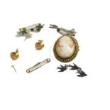 Various jewellery, a cameo brooch in a rope twist setting, 4cm high, ear studs, brooches, etc. (a qu