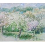 Shirley Chalmers (20thC). Orchard, watercolour, signed, label verso, 37cm x 41cm.