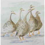 20thC School. Geese, watercolour, Norman Tomlinson indistinctly signed, sticker verso, 20cm x 20cm.