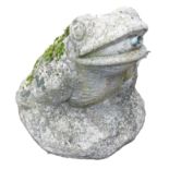 A reconstituted stone frog water feature garden ornament, 40cm high.