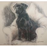 After Jill Evans. The Black Labrador, limited edition print number 824/850, with certificate of auth