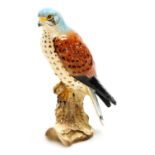 A Beswick figure modelled as a Kestrel, model no. 2136, impressed marks.