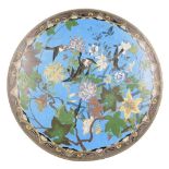 A Meiji period Japanese cloisonne charger, decorated with birds amongst chrysanthemum and other flow