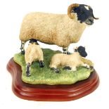 A Border Fine Arts Sheep Breeds figure group, titled Black Face Ewe and Lambs, A1244, on wooden base