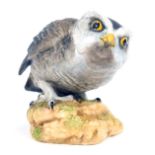 An Aynsley Little Owl matt glazed porcelain figure, with black stamp, dated 1975, 11cm high.