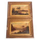 19thC School. Lake and tree scene, oil on board, pair, unsigned, 24cm x 39cm, in gilt frame.