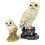 Two Aynsley matt porcelain owl ornaments, comprising large Snow Owl, 18cm high, and a baby owl, 10cm