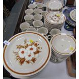 A group of Mountain Wood Collection stoneware dinner wares, comprising dinner plates, coffee mugs an