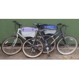 A Diamond Back Horizon lady's bicycle, and a Townsend Smoky Bear bicycle, each with Keter bike box.