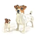 Two Beswick Jack Russell terriers, 12cm and 6cm high. (2)