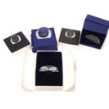 Swarovski crystal name tags, to include Isadora, 2003, 2001, 1999 collectors plaques, etc. (5)