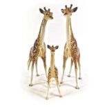 Three Beswick giraffes, two large and one medium, 30cm and 20cm high. (3, AF)