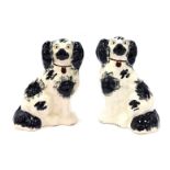 A pair of late 19thC Staffordshire pottery spaniel comforter dogs, with black and white colouring,