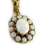 A 9ct gold opal pendant and chain, the floral design pendant set with oval opal and surrounded by tw