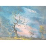 Carreia de Morai (20thC). Twilight forest landscape, oil on canvas, signed, 56cm x 89cm.