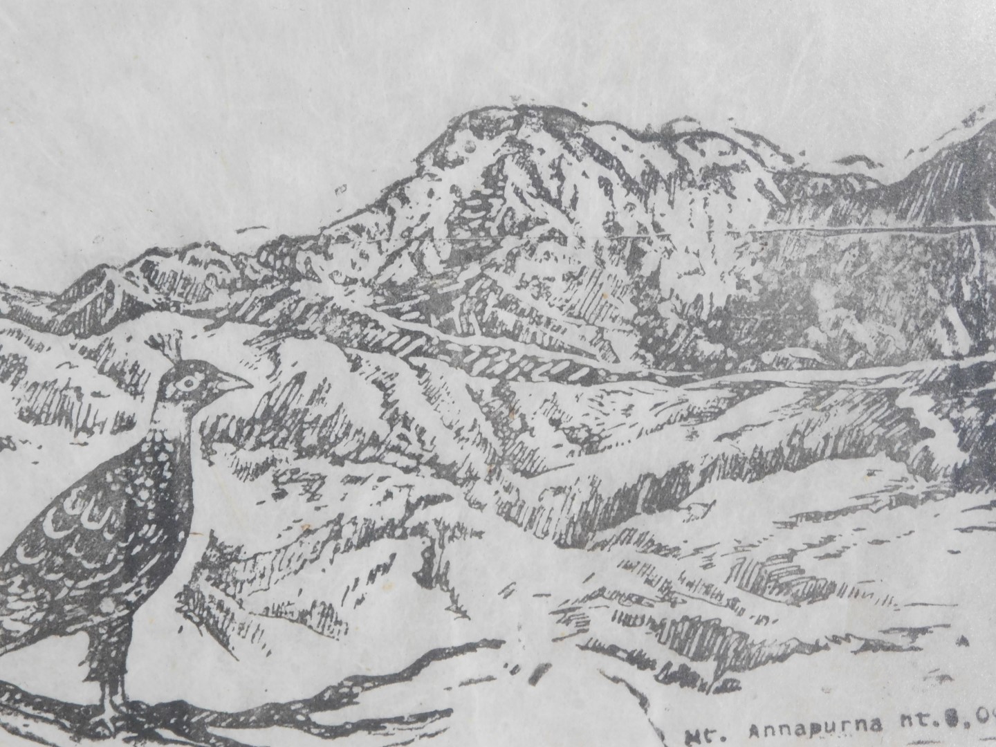 A set of seven monochrome engravings, each of scenes from the Himalayan Mountains, central print tit - Image 4 of 5