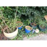 A collection of garden planters, comprising a pair of green stoneware planters, four other planters,