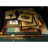 A large quantity of pictures and prints, comprising hunting grouse, after Tom Pickering, dogs, embro