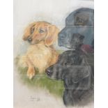 Mayone Cox (20thC). Portrait study of three dogs, pastel, signed and dated 1985, 55cm x 49cm.