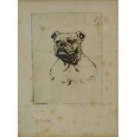 •Hewitt Henry Rayner (1902-1957). The Bulldog, artist signed etching, 27cm x 20cm.