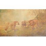 20thC School. Cows in wooded landscape, oil on canvas, gilt frame, 82cm x 125cm. (AF)