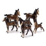 Six Beswick brown gloss foals or ponies. (AF)