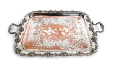 A silver plated tray, the border decorated in relief with grapes and vines, decorated centrally with