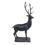 House of Douglas Collection. The Gazing Stag of The Glen, cast bronze, life size sculpture, approx 2