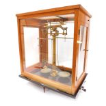 A set of brass laboratory scales, contained in an oak and perspex case, 53cm high.