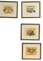 The Foliage Collection. To include Curacao oranges, strawberries, etc., prints 15cm by 21cm. (4)