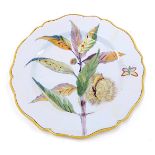 A 19thC Porquier Beau Faience botanical plate, decorated with a chestnut and insects, 23.5cm diamete