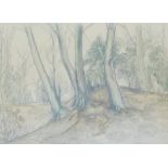 Keith Graham Hill (1895-1977). Forest trees, mixed media, print, possibly hand touched, 33cm x 48cm.